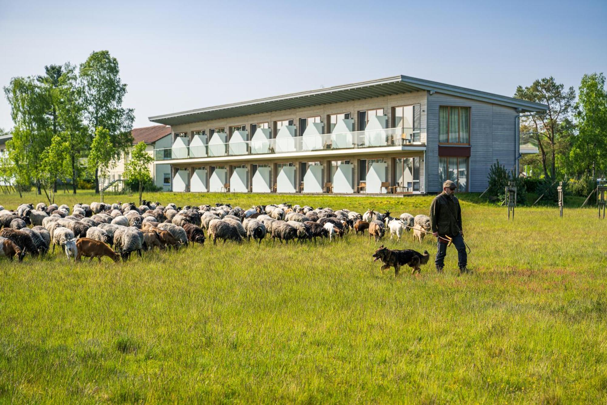Hotelcamp Reinsehlen Schneverdingen Exteriér fotografie