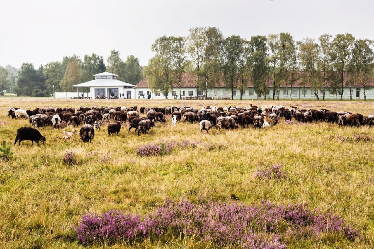 Hotelcamp Reinsehlen Schneverdingen Exteriér fotografie